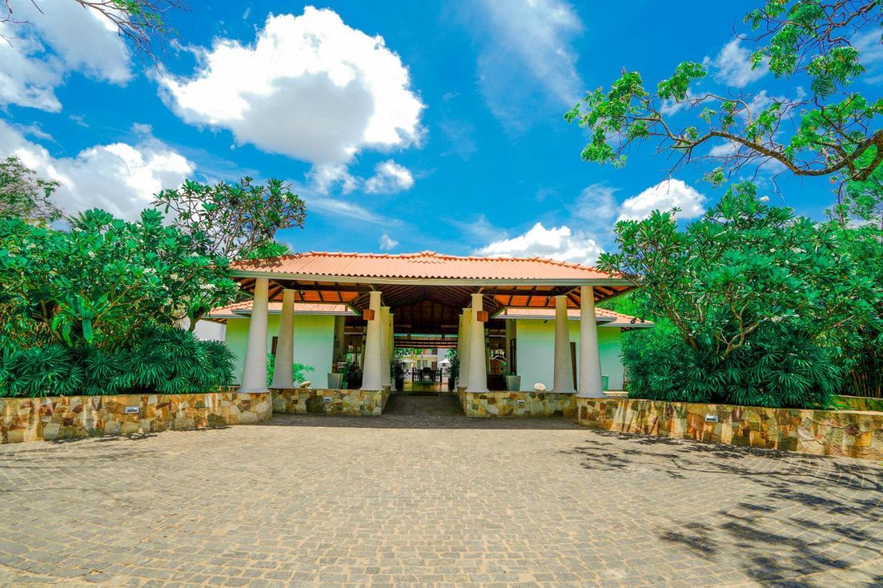 Hotel Tamarind Tree Tissamaharama Extérieur photo