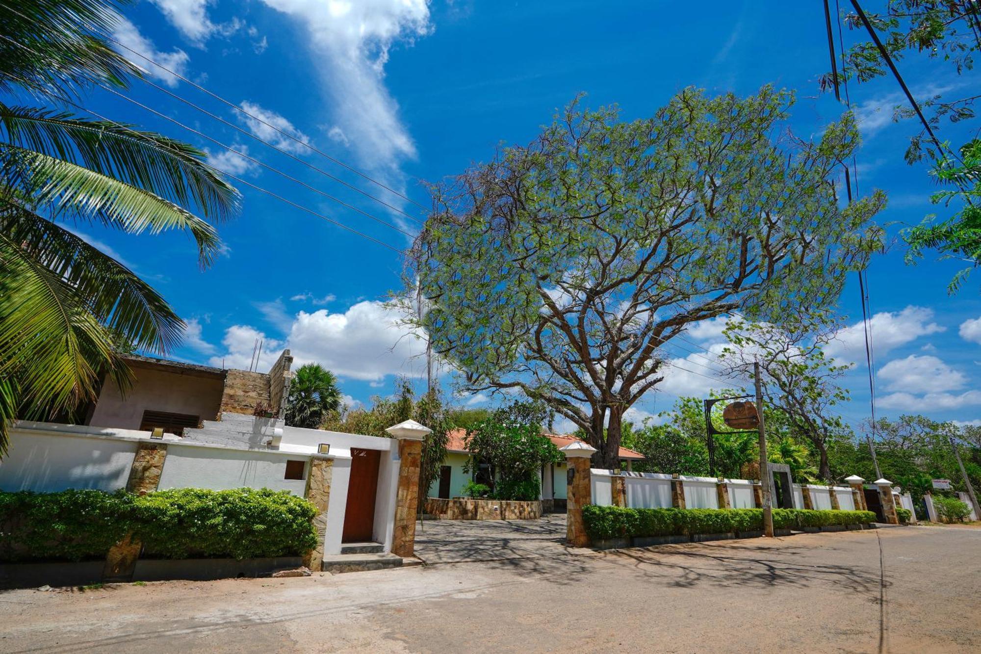 Hotel Tamarind Tree Tissamaharama Extérieur photo