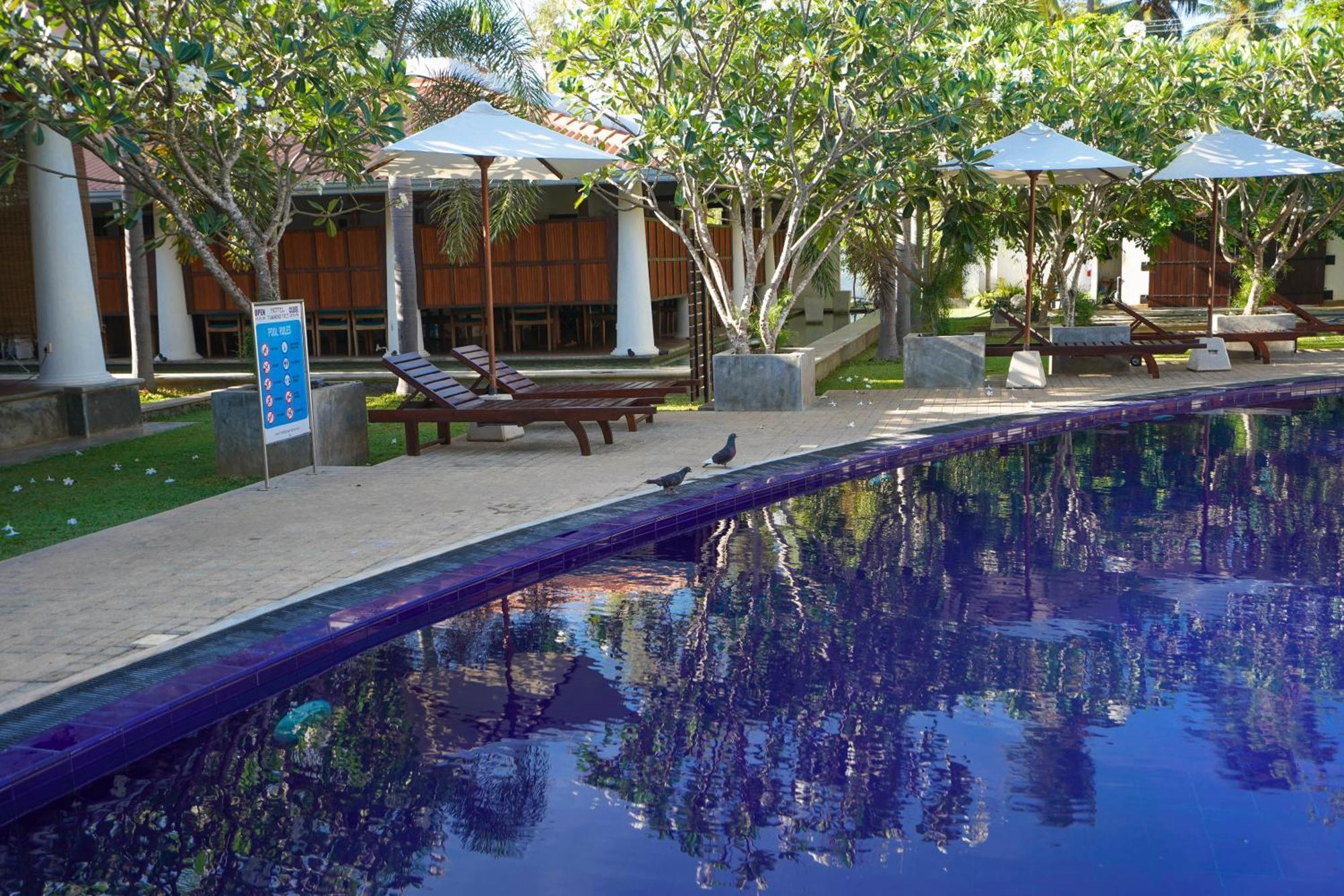 Hotel Tamarind Tree Tissamaharama Extérieur photo